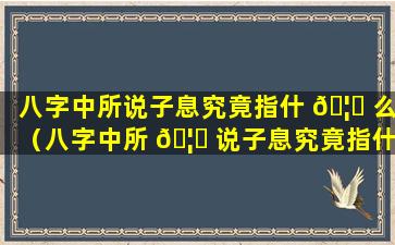 八字中所说子息究竟指什 🦈 么（八字中所 🦈 说子息究竟指什么意思）